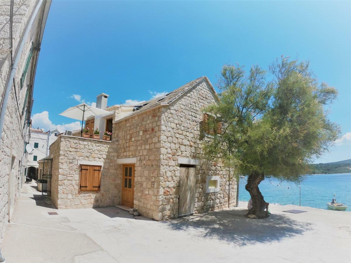 Apartment Vesna Primošten Εξωτερικό φωτογραφία